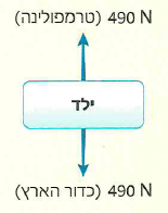(בספר תרשים)